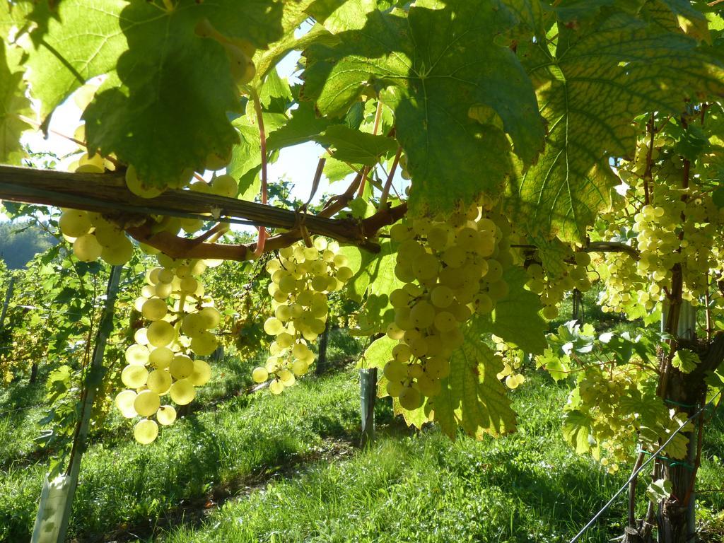 Weingut- Gaestezimmer Marko Leutschach Exteriör bild