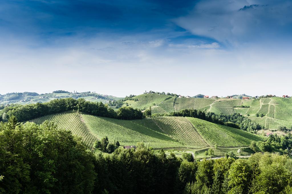 Weingut- Gaestezimmer Marko Leutschach Exteriör bild