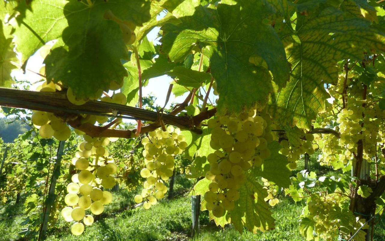 Weingut- Gaestezimmer Marko Leutschach Exteriör bild