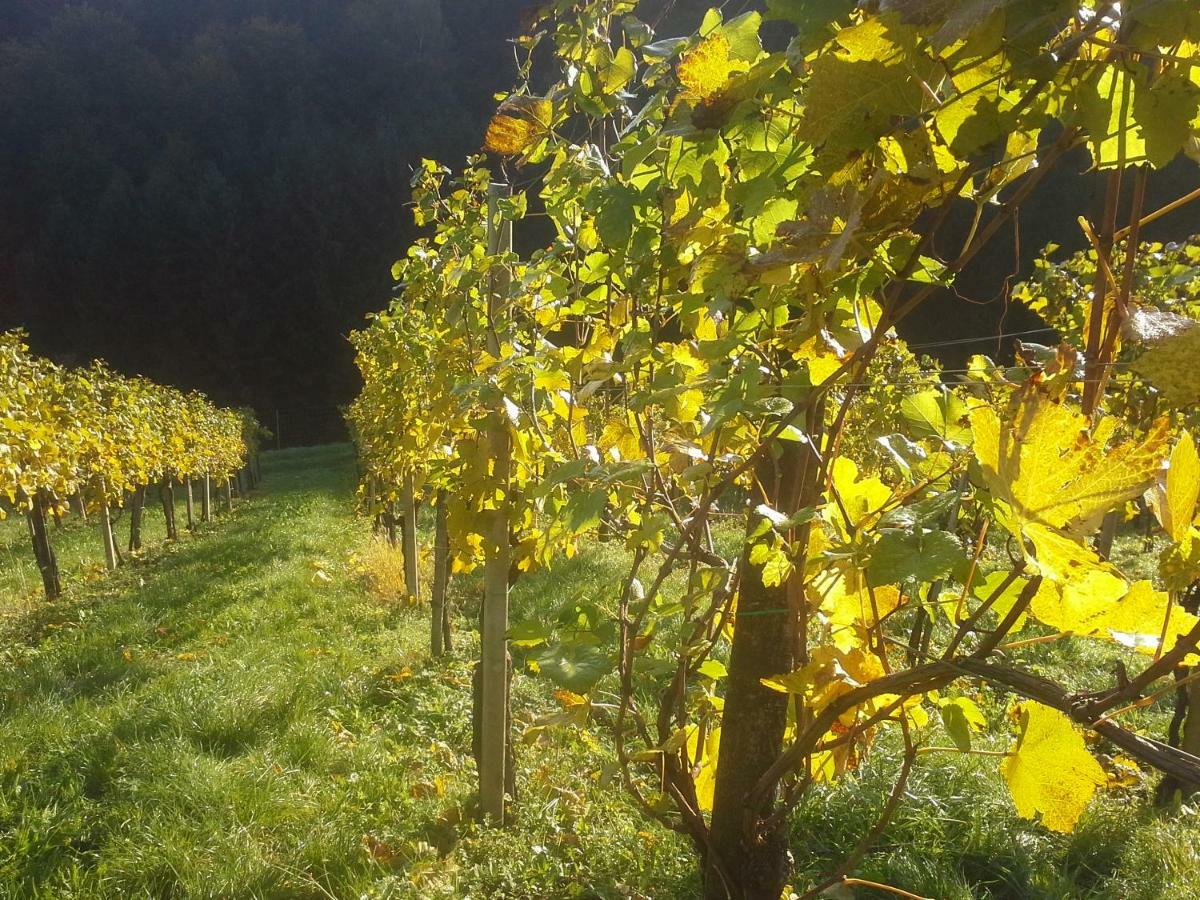 Weingut- Gaestezimmer Marko Leutschach Exteriör bild